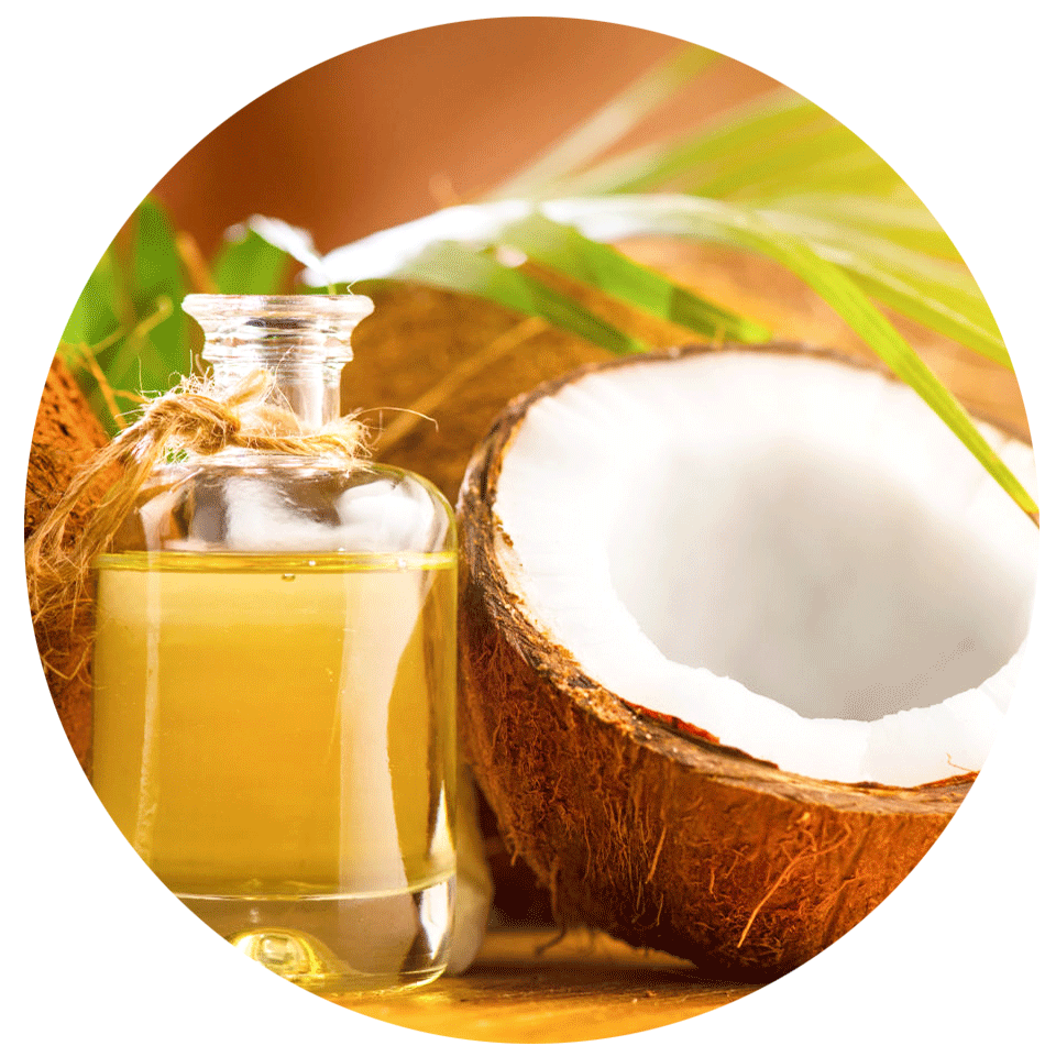Coconuts-contains-fatty-acids-that-nourish-skin-1536x1003.png